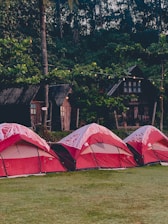 Red and white tents are set up on a grassy area near a wooded backdrop. The tents are arranged in a line, in front of rustic wooden cabins. String lights are hung between trees, creating a cozy atmosphere among the lush green foliage.