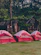 Red and white tents are set up on a grassy area near a wooded backdrop. The tents are arranged in a line, in front of rustic wooden cabins. String lights are hung between trees, creating a cozy atmosphere among the lush green foliage.