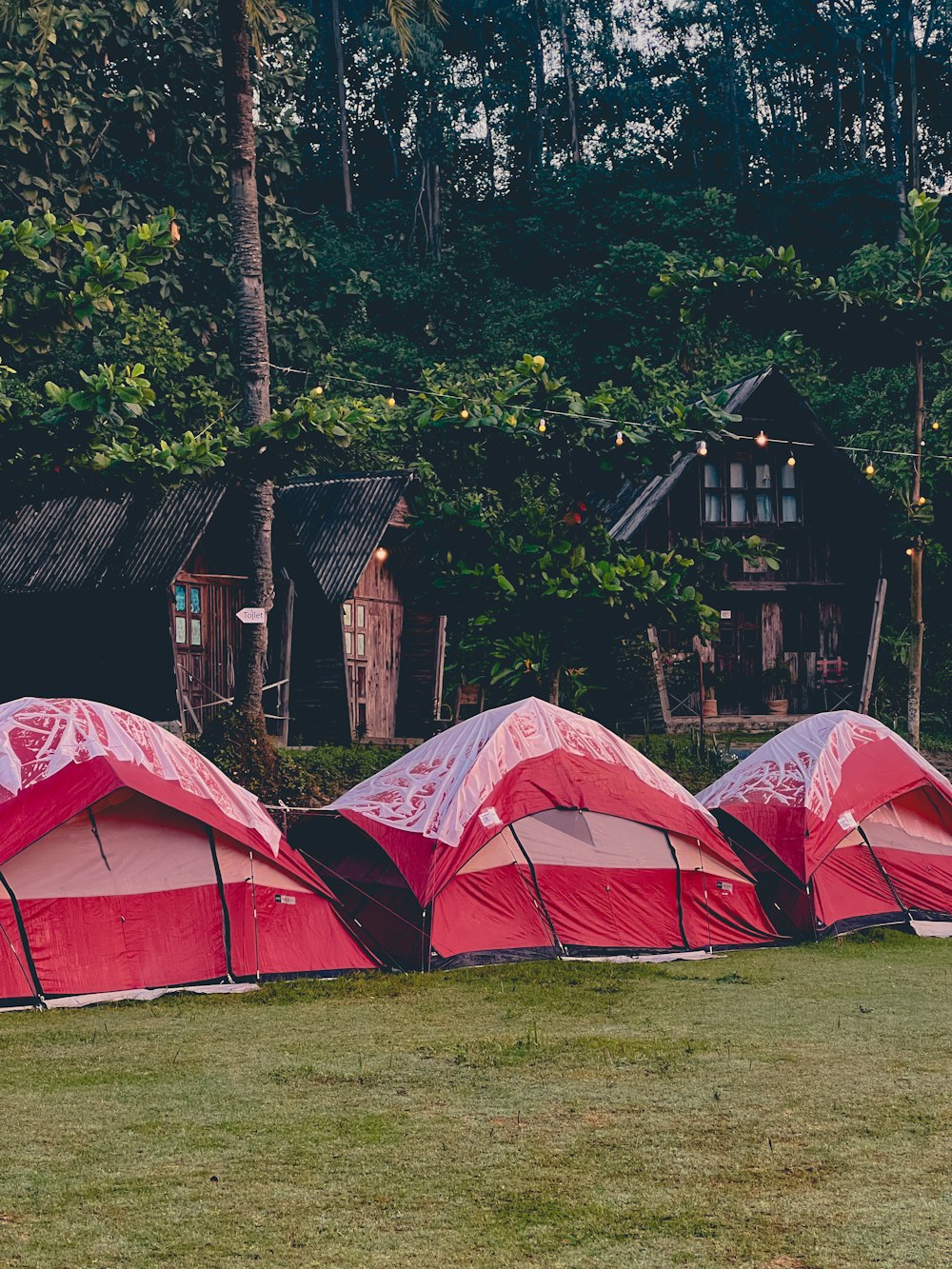 a group of red tents sitting on top of a lush green field