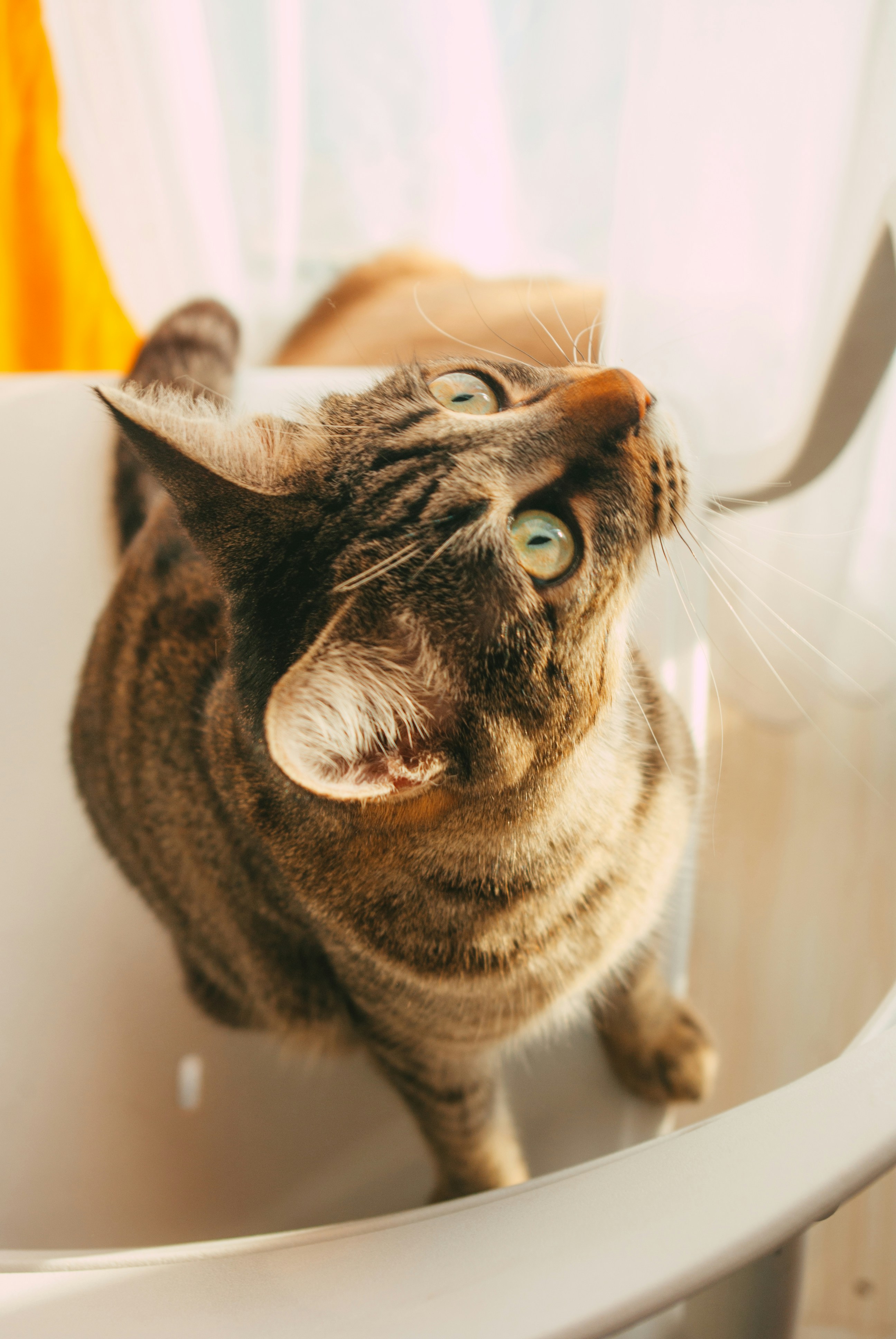 Photo by moonmoons_days