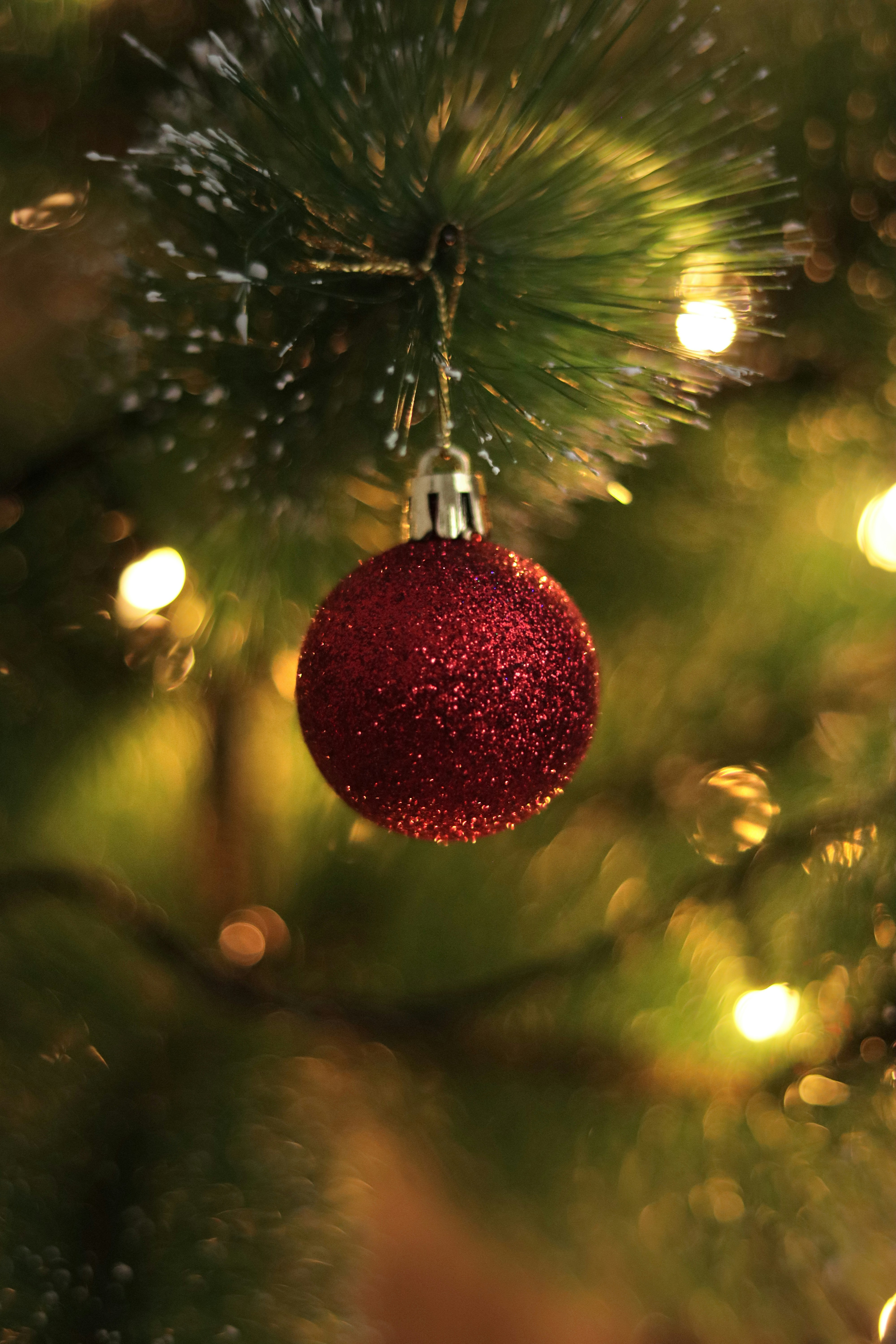 Photo by tonyzebastian