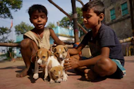 Children playing with puppies during a fun outdoor gathering.