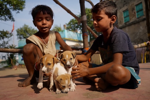 A group of children interacting with friendly puppies.