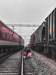 A lone person carrying red bags walks between two stationary trains on a railway track. The sky is overcast, and the scene appears to be set in an industrial or urban area. The tracks are lined with gravel, and electrical wires are overhead.