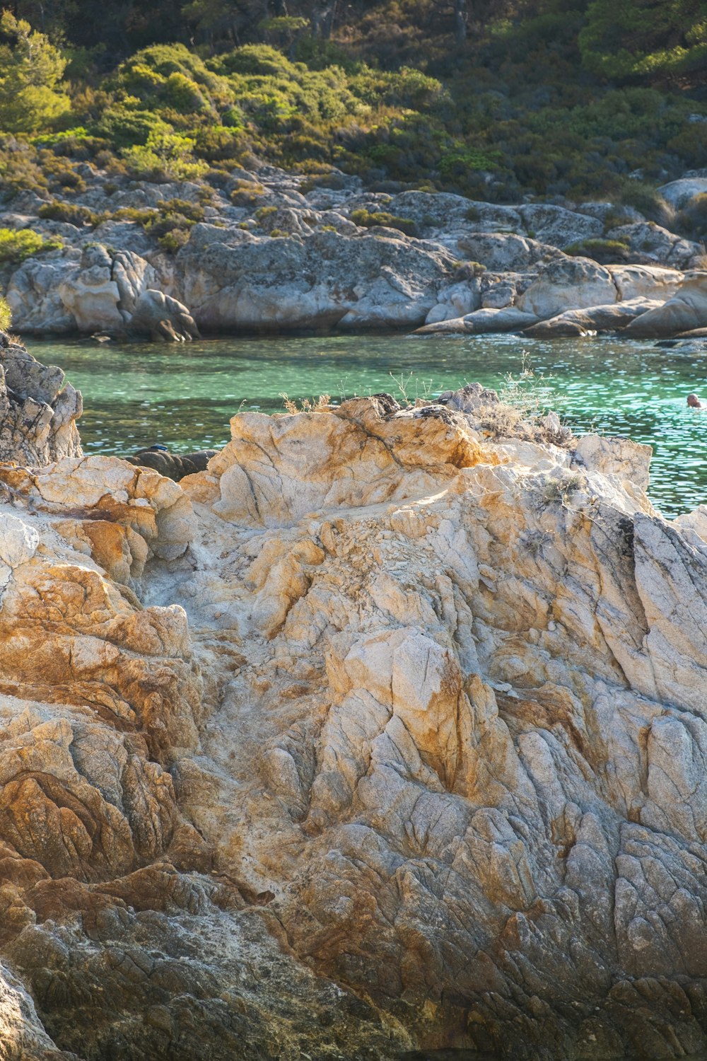 um pássaro sentado no topo de uma grande rocha ao lado de um corpo de água