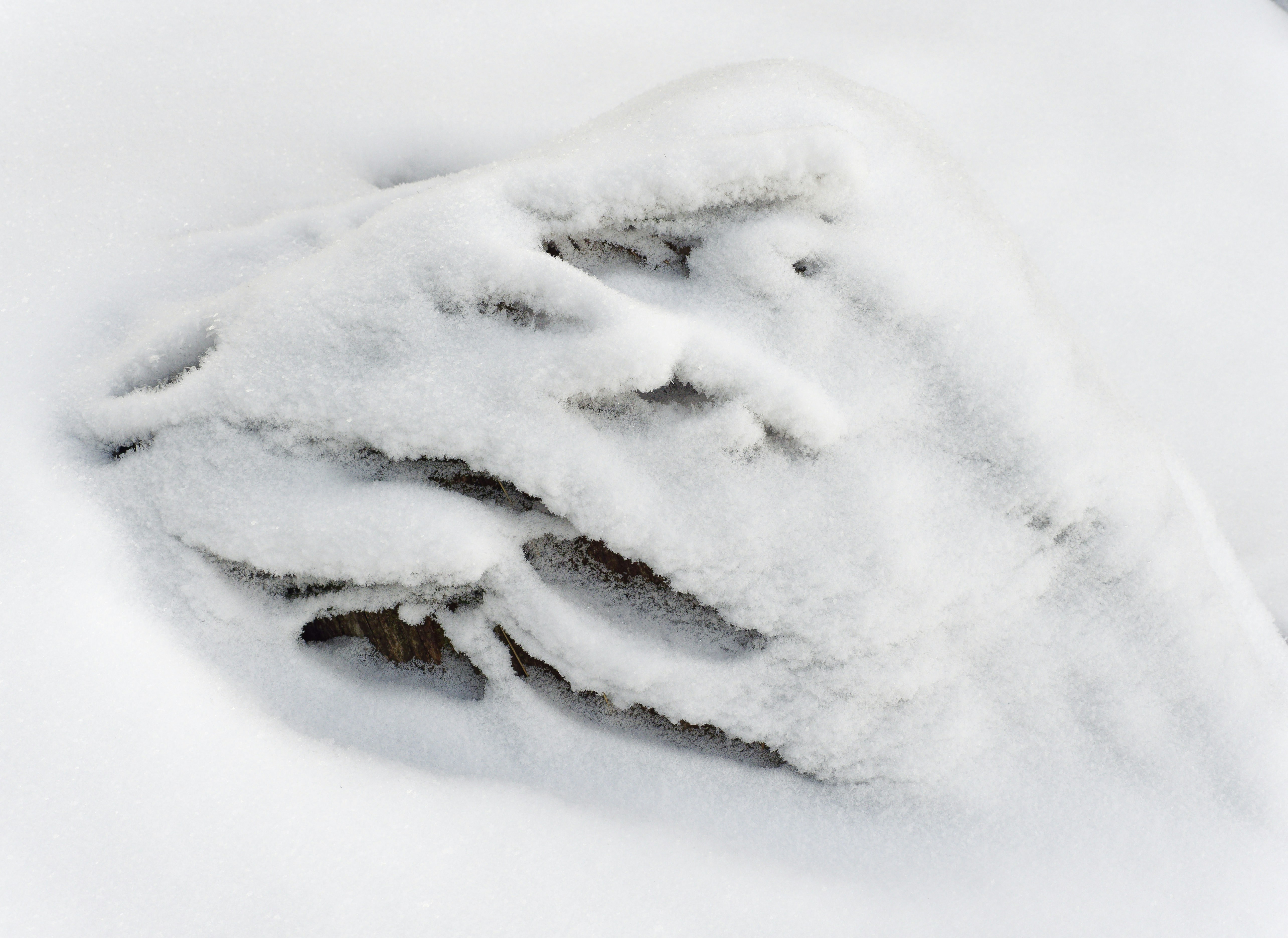 a close up of a snow covered ground