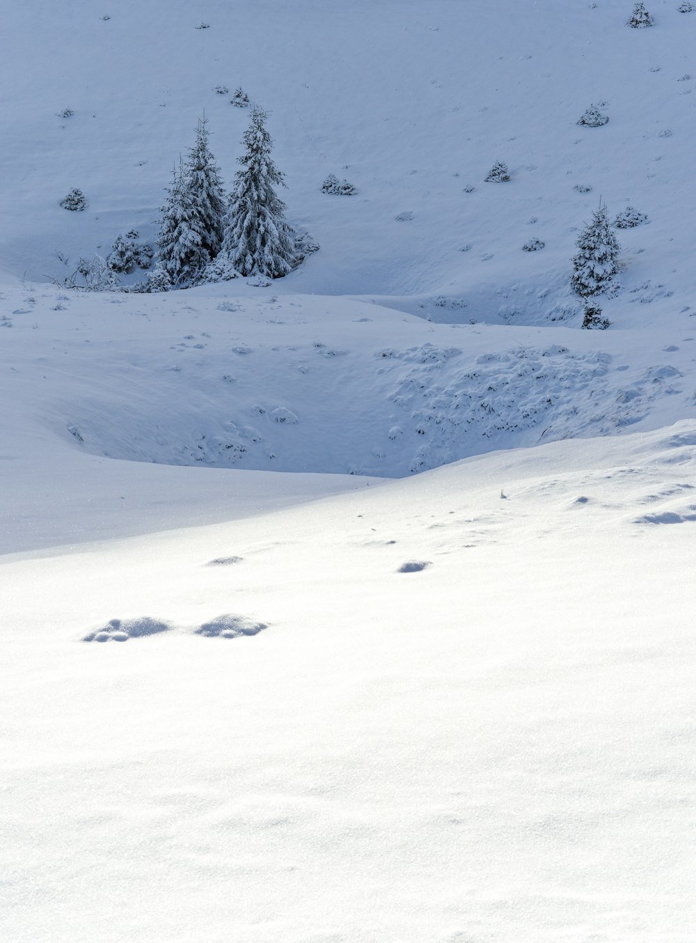 a man riding skis down a snow covered slope