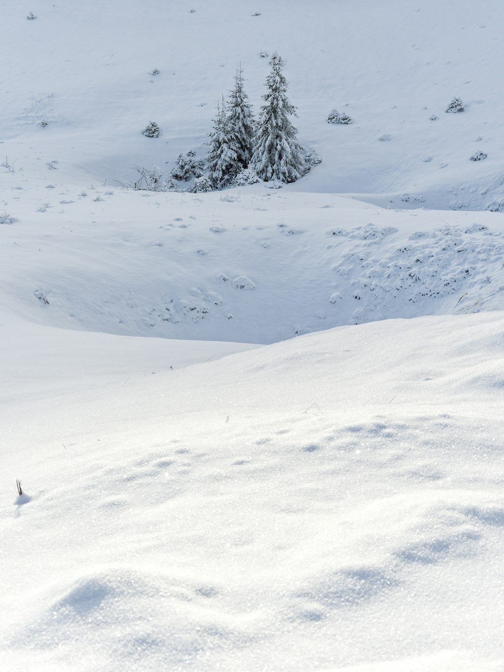 a man riding skis down a snow covered slope