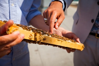 a man holding a piece of wood with bees on it