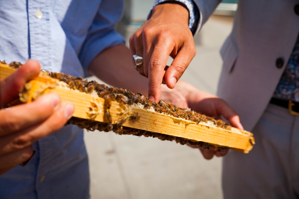a man holding a piece of wood with bees on it