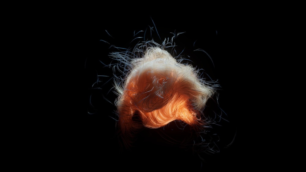 a close up of a person's hair with a black background
