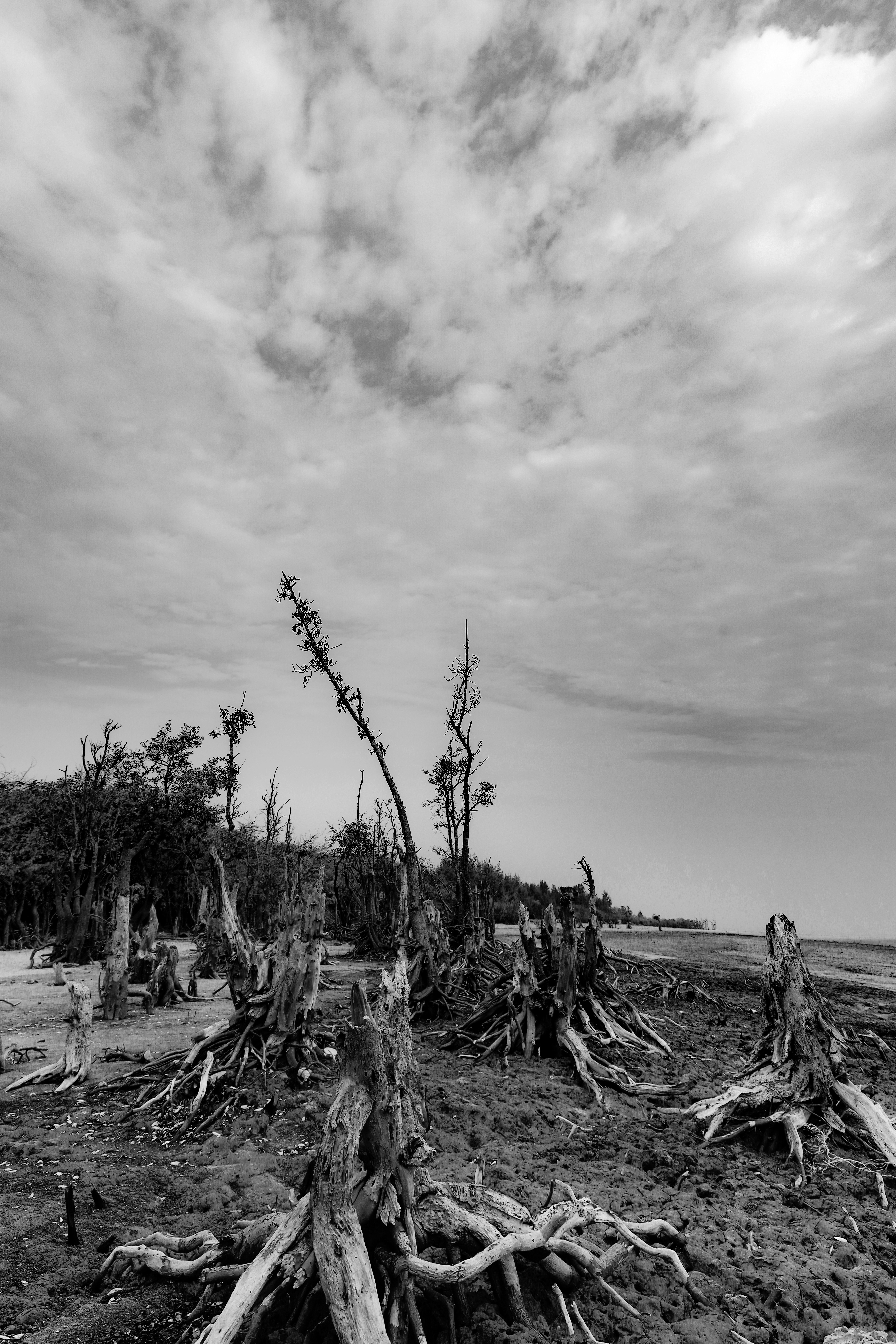 Photo by its_since1997