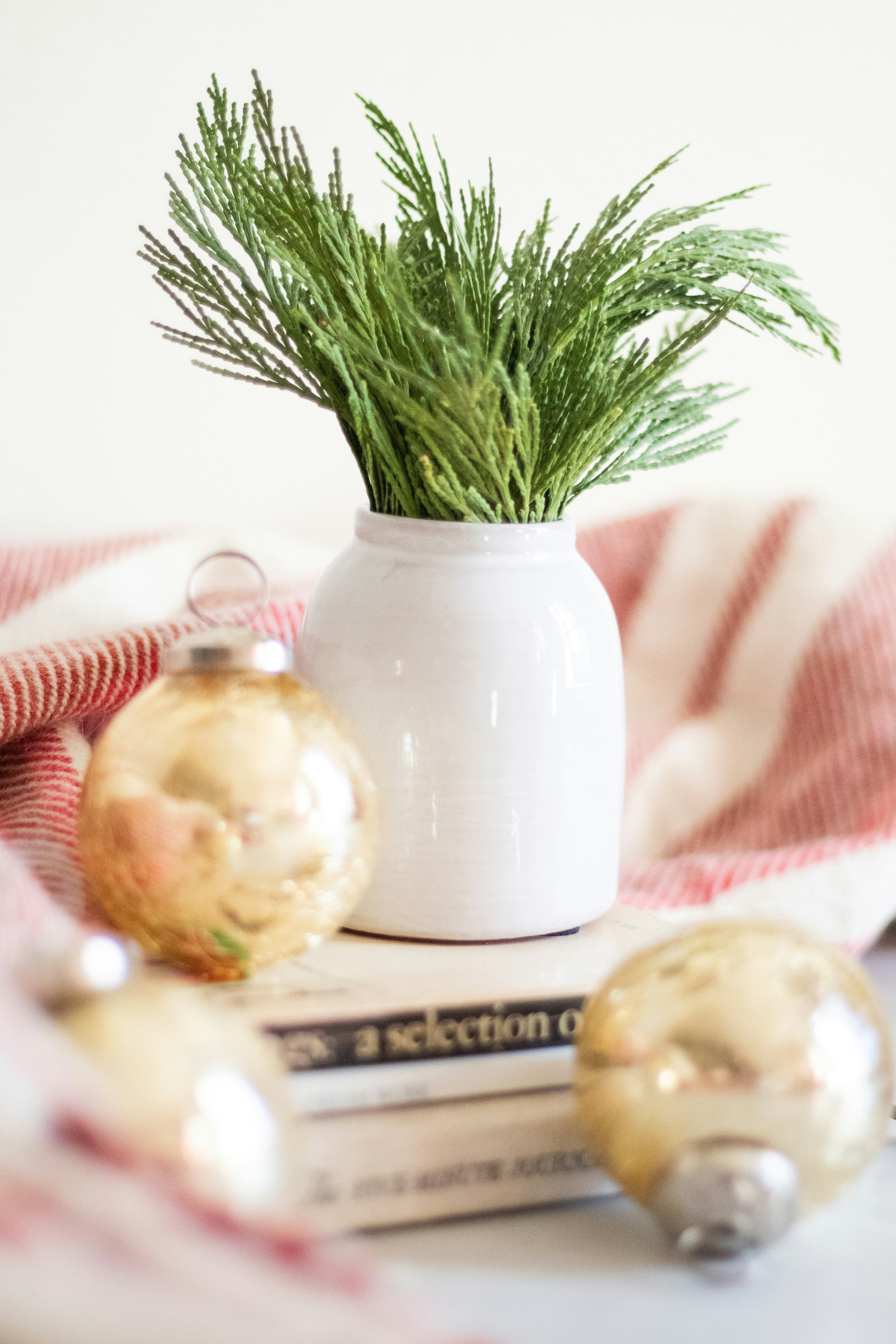 food photography depth of field