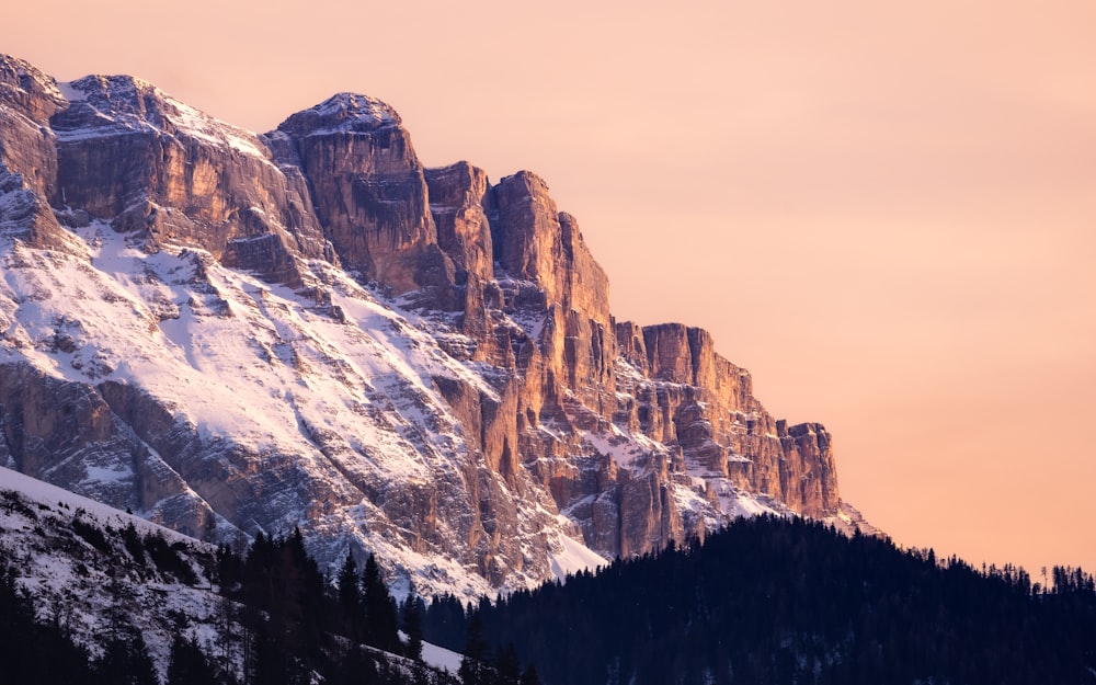 a snow covered mountain with pine trees in the foreground