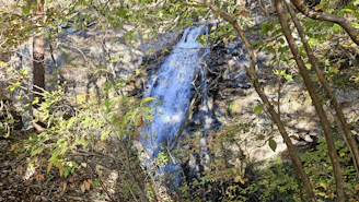 A serene waterfall cascading over rocks surrounded by lush greenery, symbolizing Zambia's natural beauty.