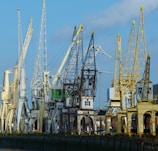 A fleet of cranes lined up ready for deployment on a clear day
