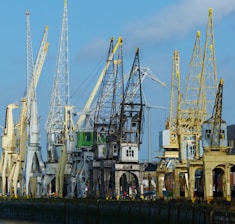 A panoramic view of various types of cranes lined up in an industrial yard under a clear sky.