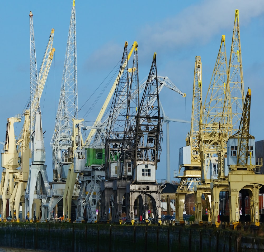 a group of cranes sitting next to a body of water