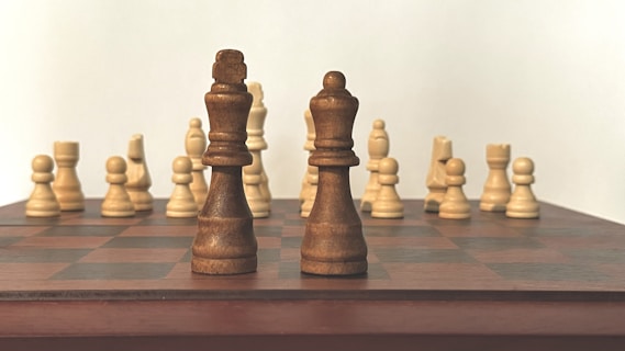 A wooden chess set is arranged on a board with pieces in both dark and light wood. The focus is on two central pieces, the kings, while pawns, knights, and rooks are visible in the background.