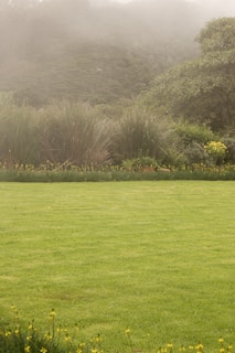 A lush, well-maintained grassy lawn extends across the foreground, bordered by various shrubs and tall grasses. In the background, a densely vegetated hill is partially obscured by a light mist or fog, contributing to a serene atmosphere.