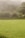 A lush, well-maintained grassy lawn extends across the foreground, bordered by various shrubs and tall grasses. In the background, a densely vegetated hill is partially obscured by a light mist or fog, contributing to a serene atmosphere.
