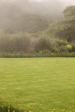 A lush, well-maintained grassy lawn extends across the foreground, bordered by various shrubs and tall grasses. In the background, a densely vegetated hill is partially obscured by a light mist or fog, contributing to a serene atmosphere.
