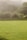 A lush, well-maintained grassy lawn extends across the foreground, bordered by various shrubs and tall grasses. In the background, a densely vegetated hill is partially obscured by a light mist or fog, contributing to a serene atmosphere.