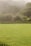 A lush, well-maintained grassy lawn extends across the foreground, bordered by various shrubs and tall grasses. In the background, a densely vegetated hill is partially obscured by a light mist or fog, contributing to a serene atmosphere.