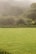 A lush, well-maintained grassy lawn extends across the foreground, bordered by various shrubs and tall grasses. In the background, a densely vegetated hill is partially obscured by a light mist or fog, contributing to a serene atmosphere.
