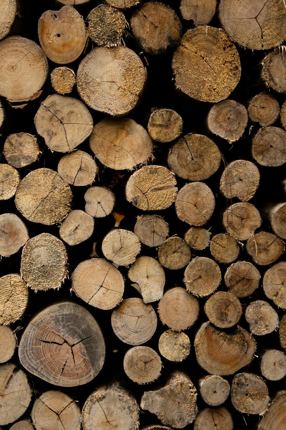 a pile of cut logs stacked on top of each other