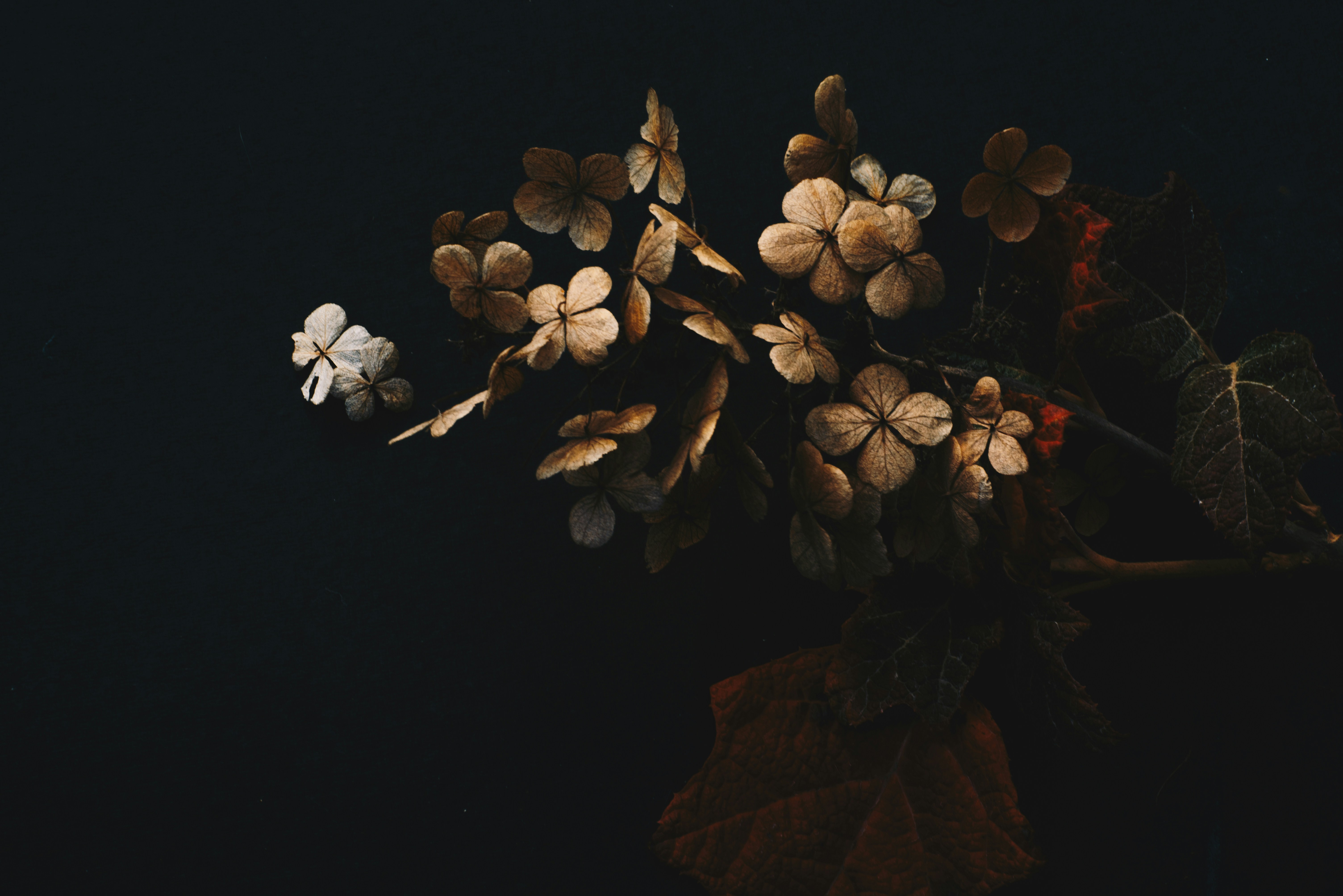 Photo by evieshaffer