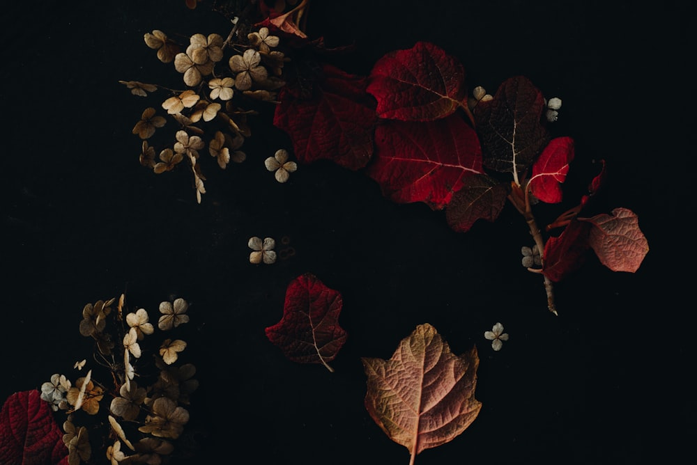 a bunch of leaves and flowers on a black surface