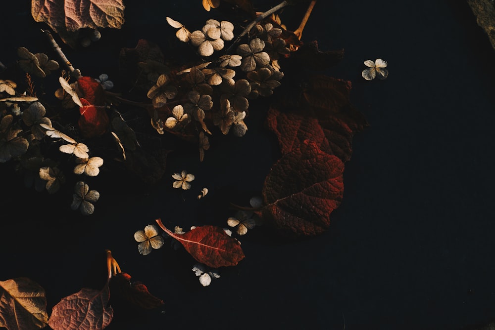 a bunch of leaves and flowers on a table