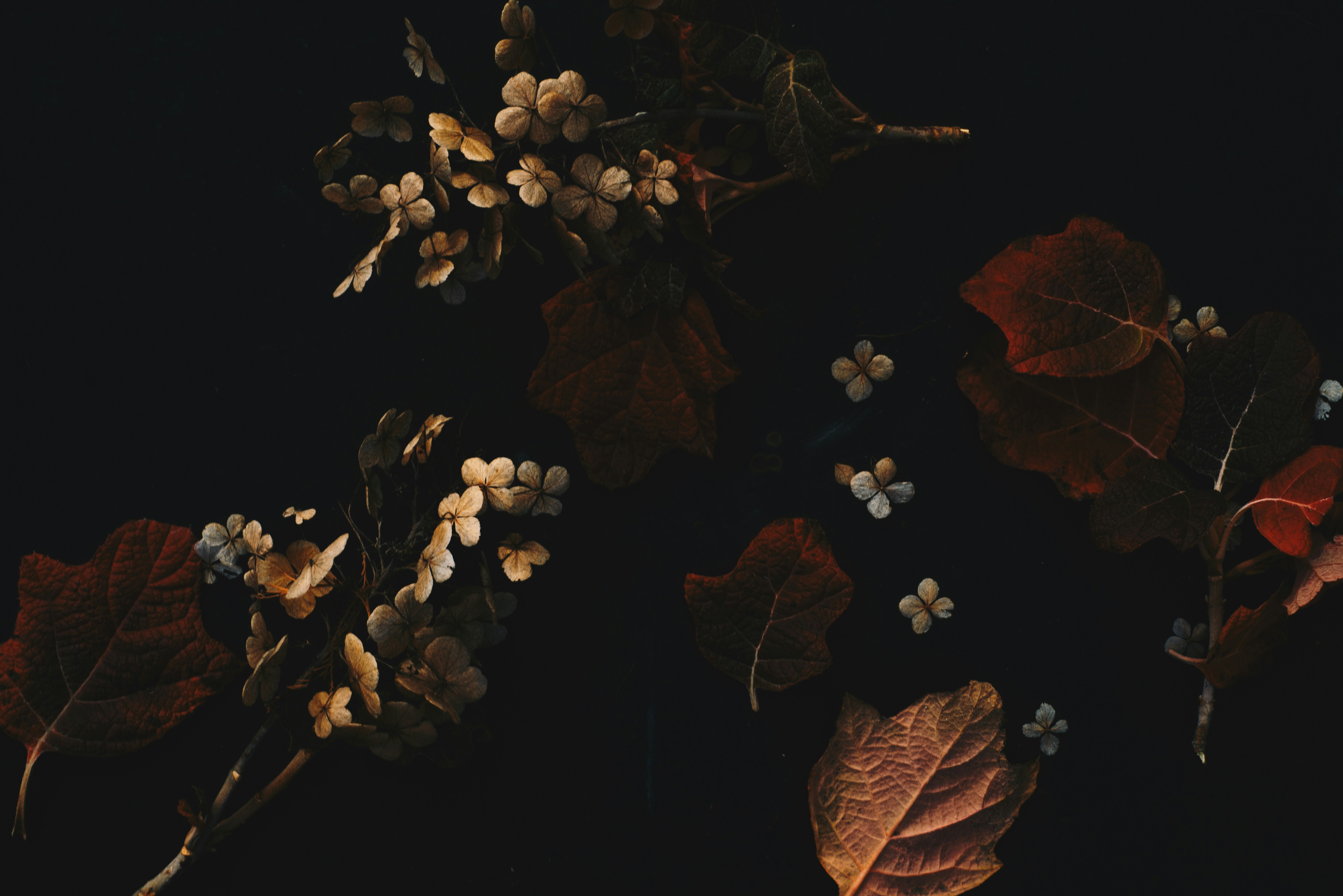 Photo by evieshaffer