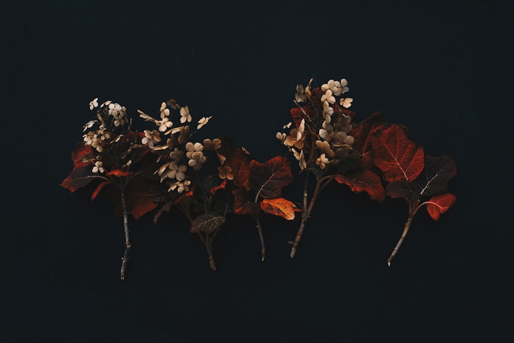 a group of flowers that are sitting on a table