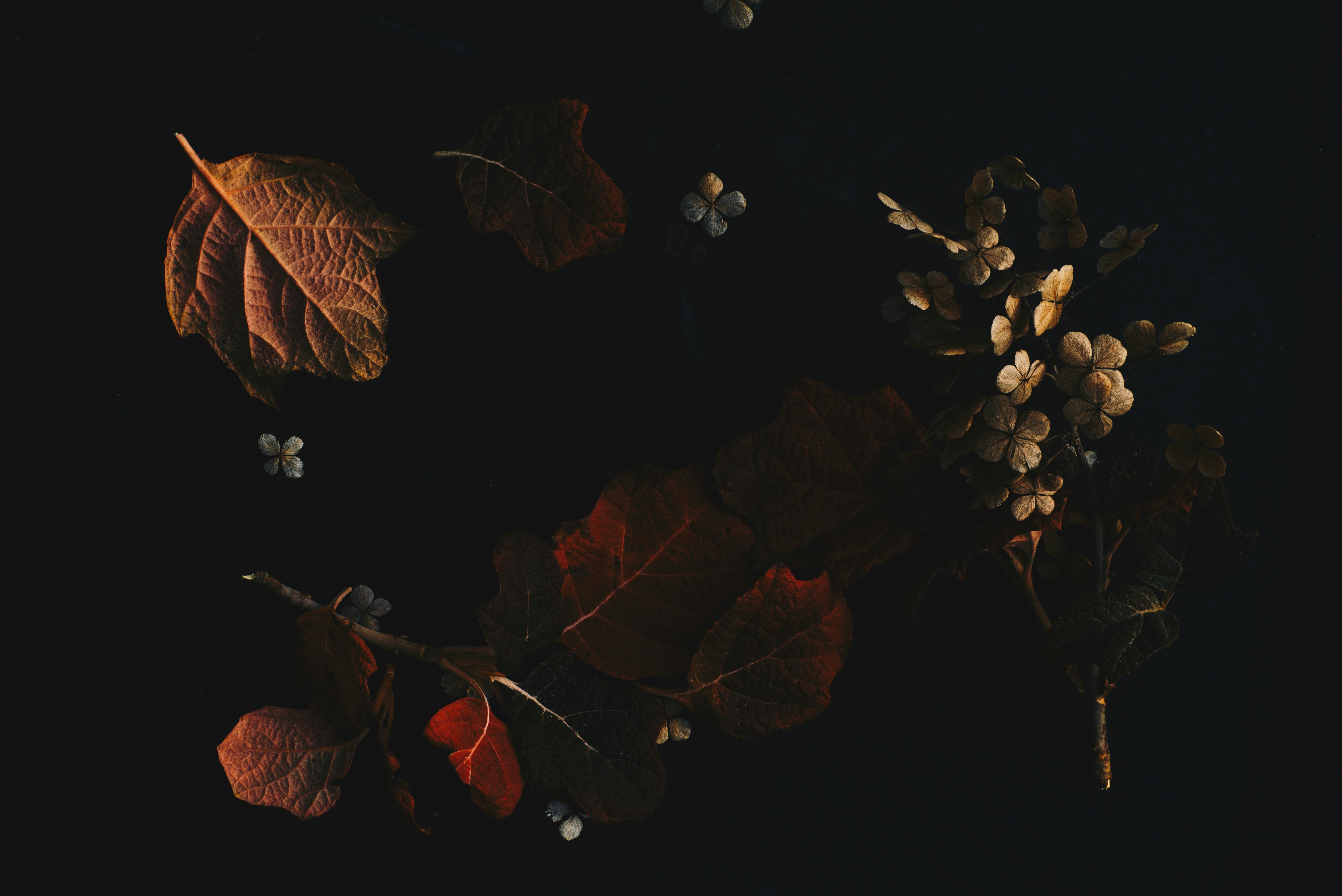 Photo by evieshaffer