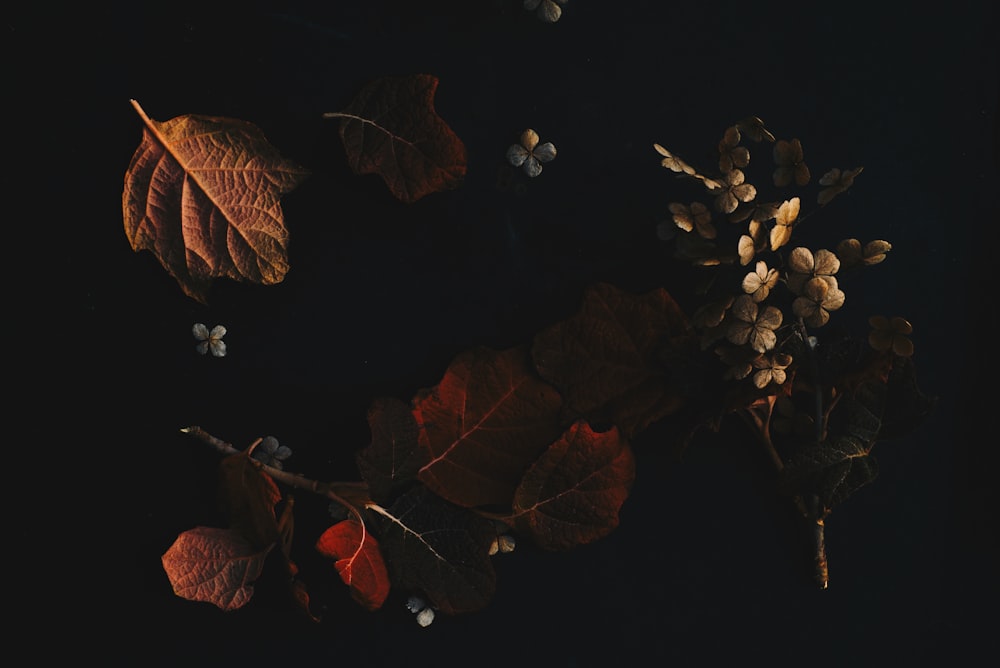 a bunch of leaves and flowers on a table