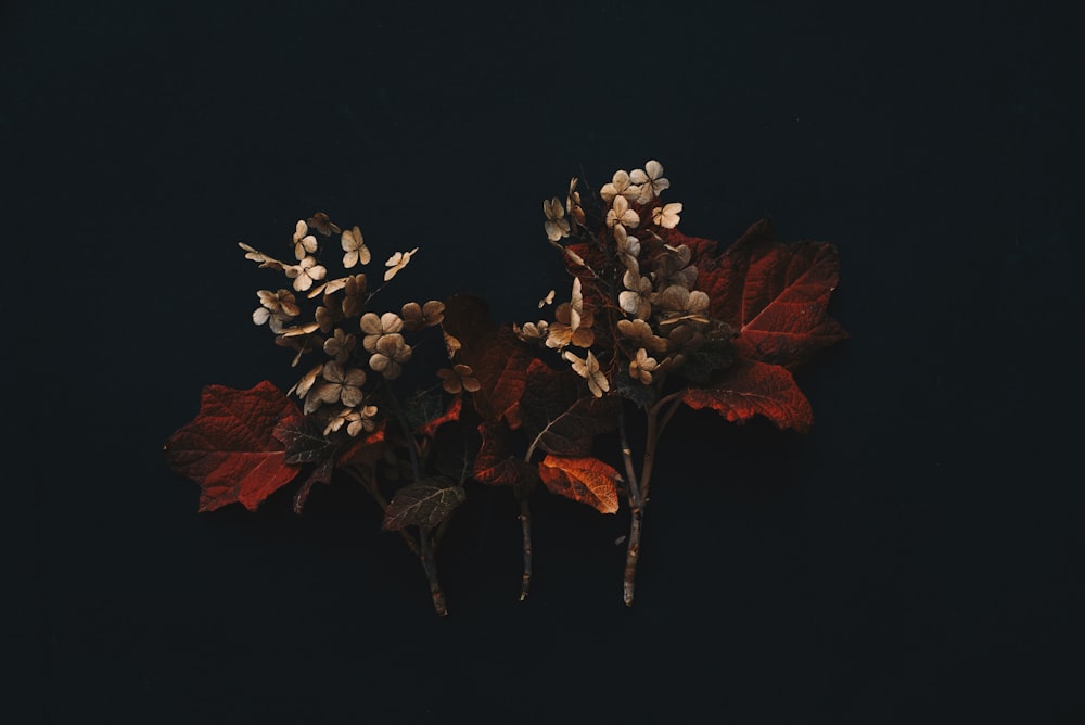 a group of flowers sitting on top of a table