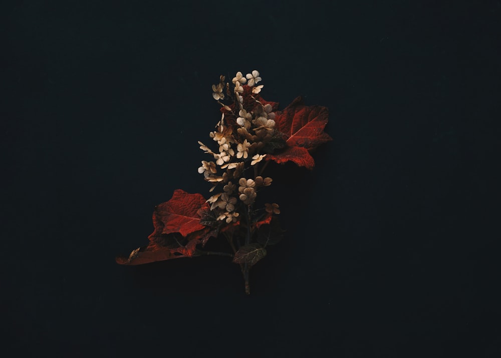 a bunch of flowers that are sitting on a table