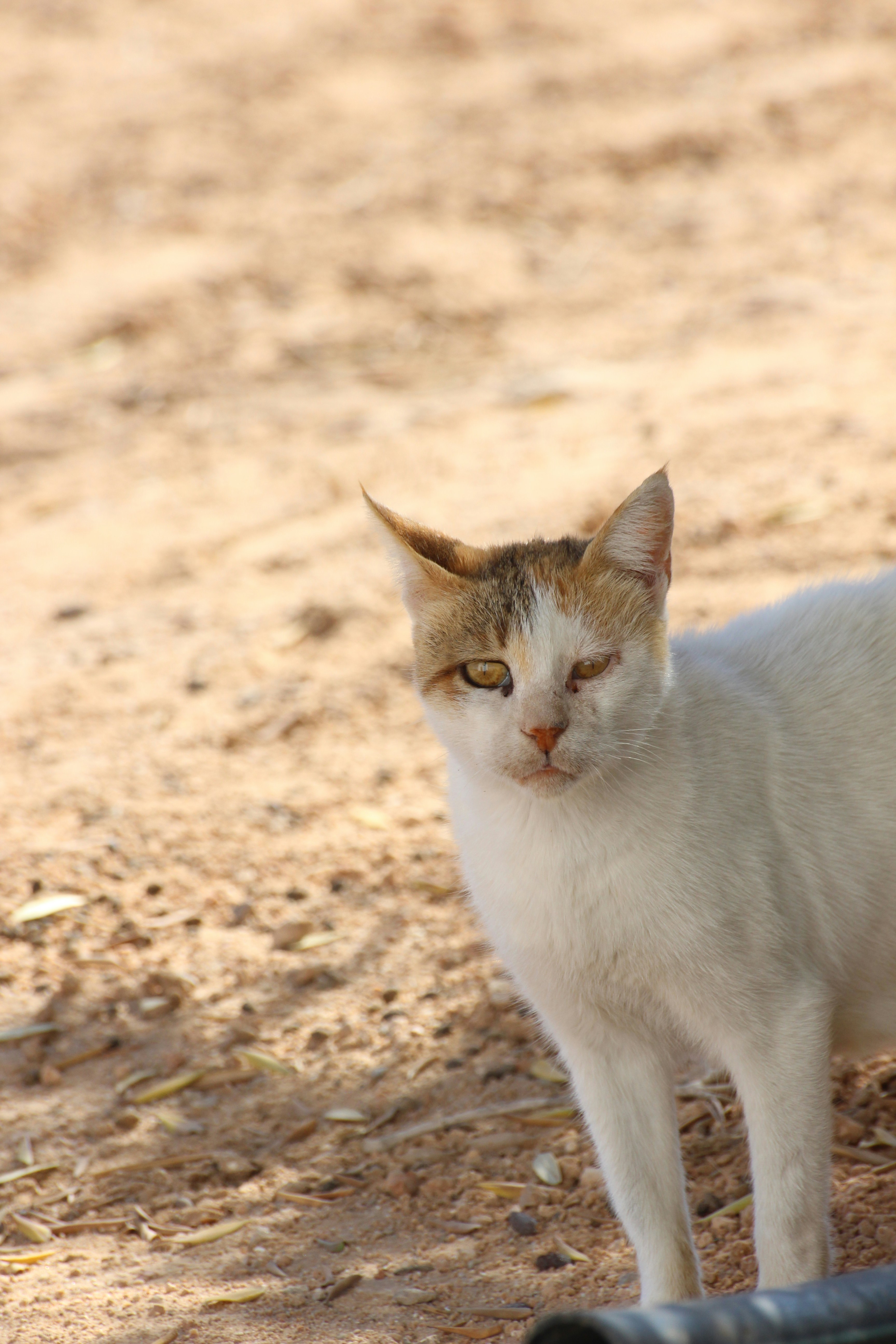 Photo by othmanfsili