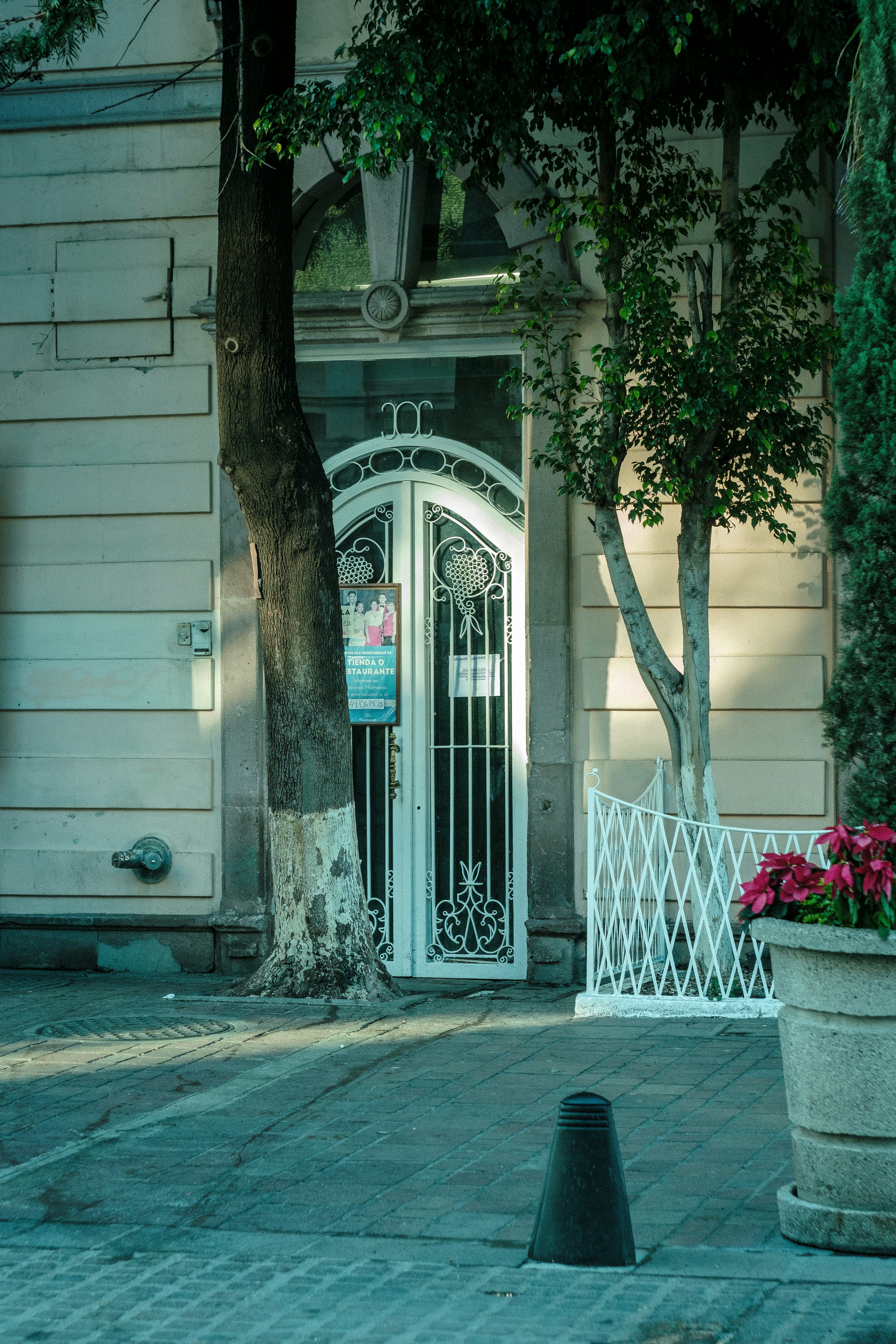 Photo by alex_quezada