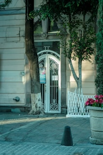 A decorative white metal gate leads to a building entrance surrounded by trees and foliage. A potted plant with pink flowers is positioned nearby on a paved area. Natural light casts shadows and highlights across the scene, adding texture to the stone facade and the street.
