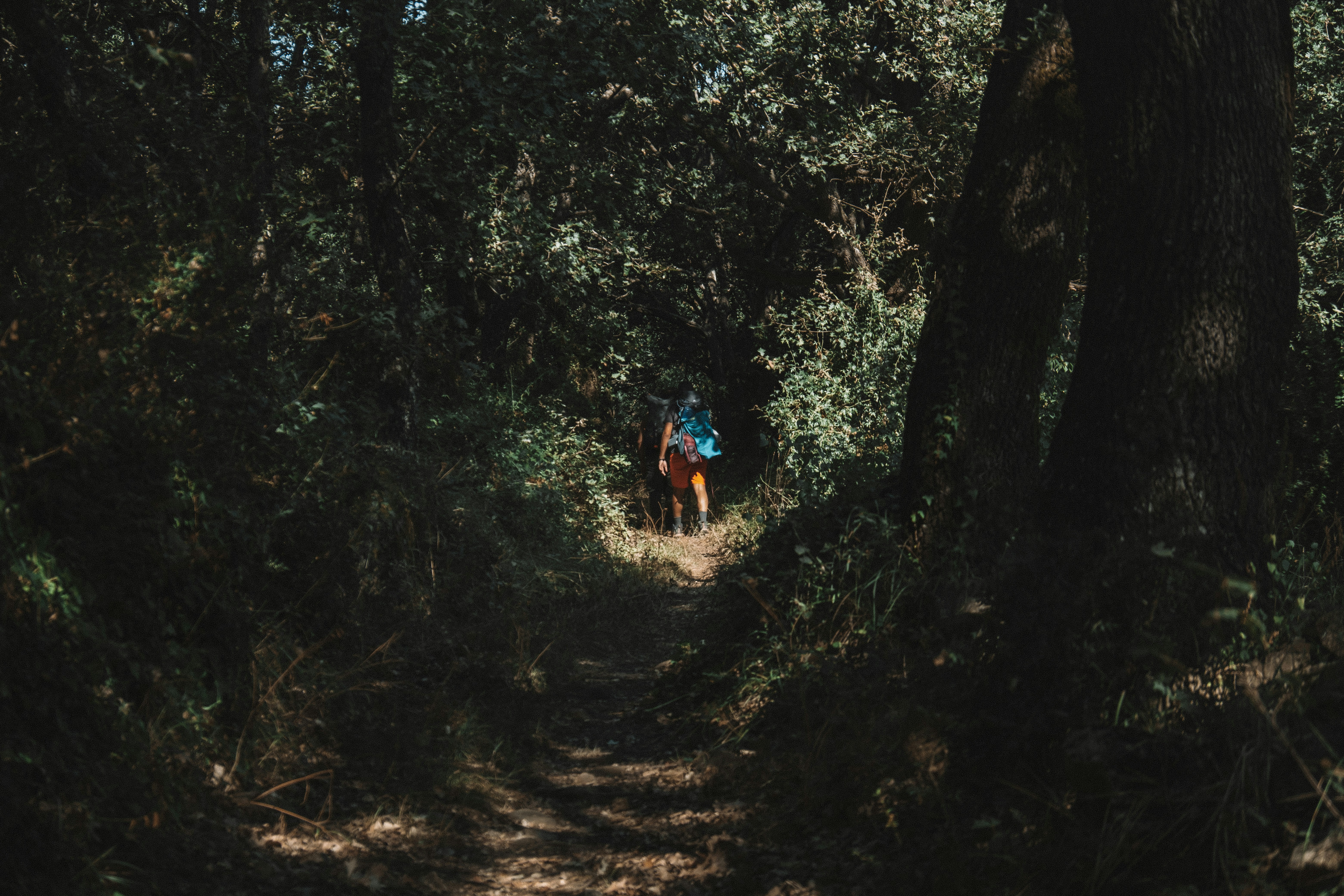 Photo by salvatoretonnara