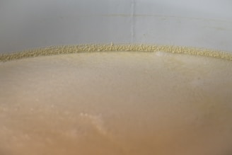 A creamy, foamy liquid fills the image, likely indicating a brewing or fermenting process. The surface appears smooth with a light frothy layer around the edges, contained within a large cylindrical vessel.