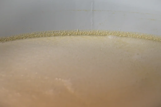 Close-up of a bubbling fermentation vessel with rich amber liquid inside.