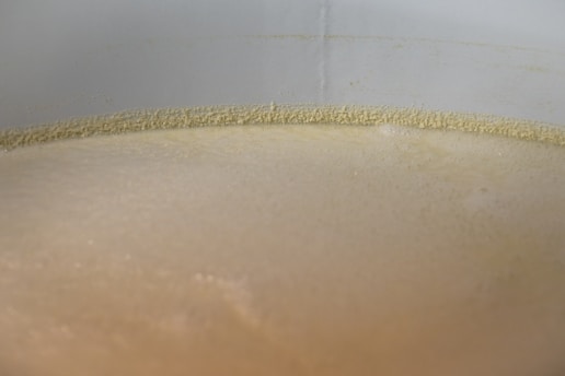 A creamy, foamy liquid fills the image, likely indicating a brewing or fermenting process. The surface appears smooth with a light frothy layer around the edges, contained within a large cylindrical vessel.