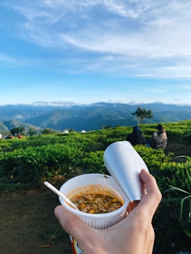 A hand holds a cup of instant noodles with a spoon, partially covered by a foil lid. The background features a scenic view of rolling green hills under a bright blue sky with clouds. Two people sit on the grass in the distance, enjoying the view.