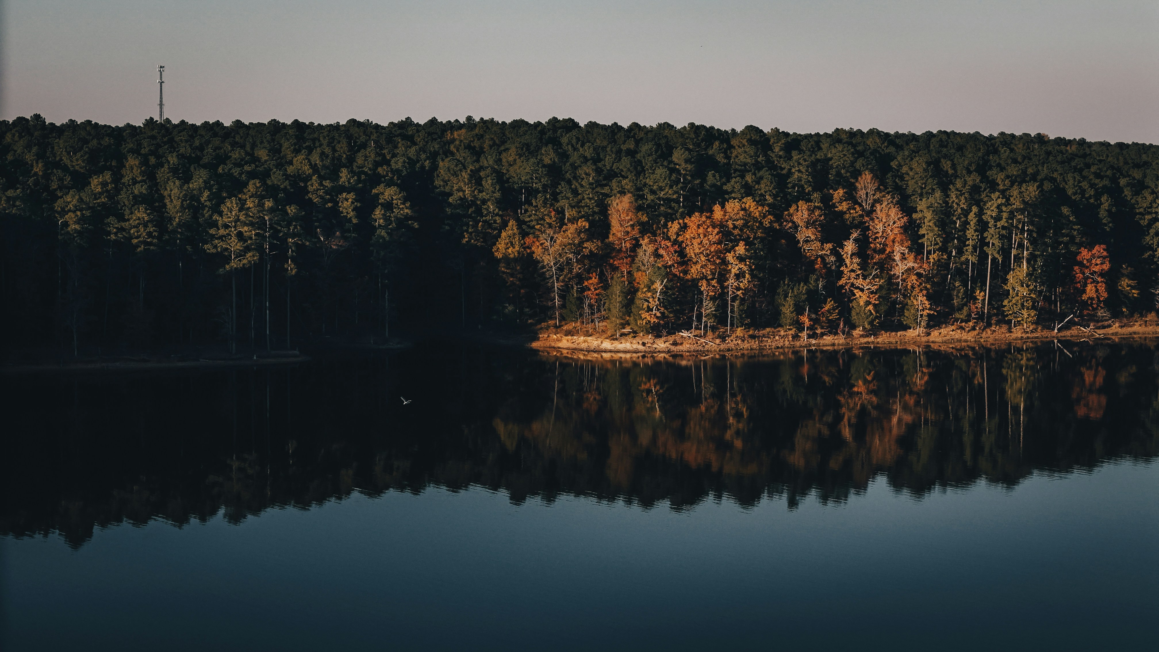 Photo by sznl_dreamr