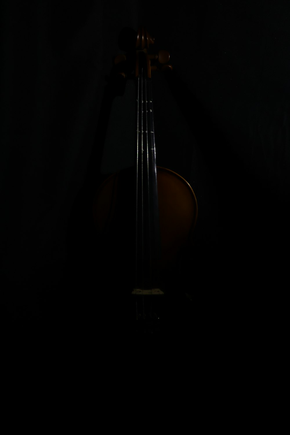 a violin in the dark with a black background