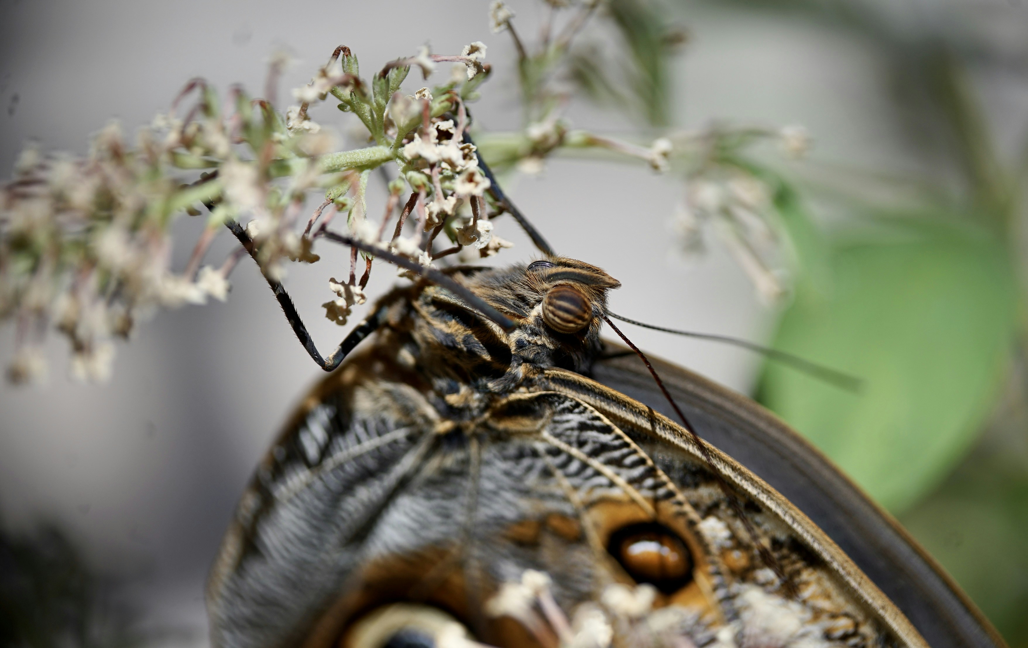 Photo by hannahslensphotography